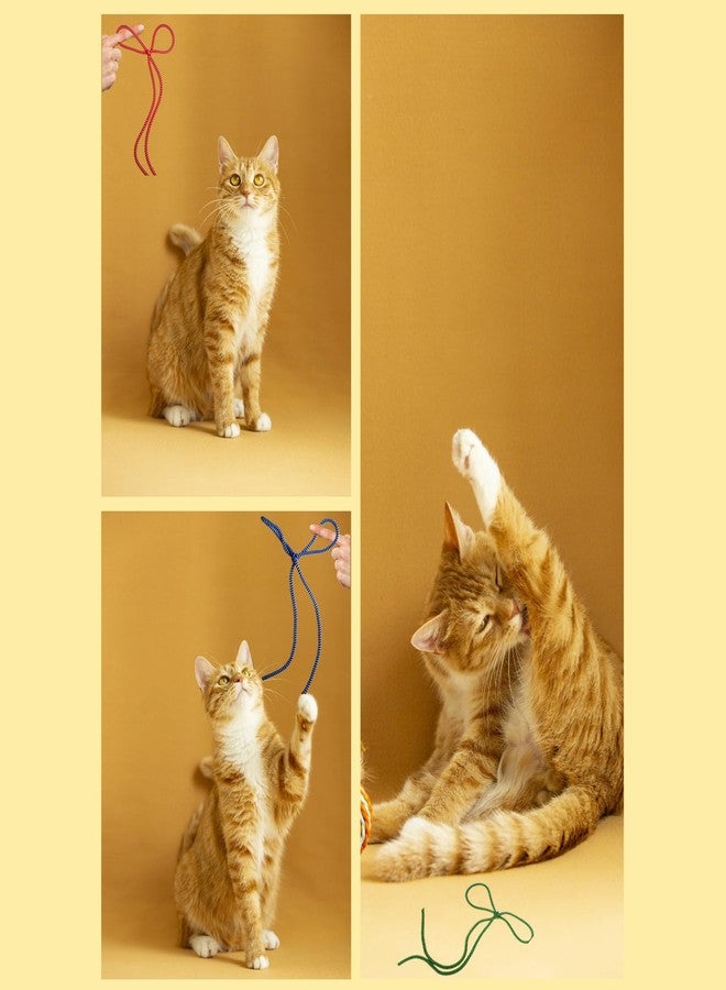 Pulsatex 6 Color Cat String Toys Set, Durable for Interactive Games for Swatting, Biting, Hunting, and Active Healthy Play Interactive Cat Toys Indoor Cats - Image 4