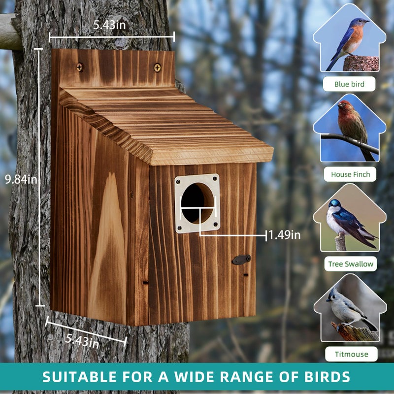 puyikes 2 Pack Bird Houses for Outside with Metal Predator Guard for Bluebird Wren Swallow Finch-Carbonized Wooden Nesting Boxes for Outdoor Sturdy Bird House,Easy to Clean,No Assembly Needed - Image 3
