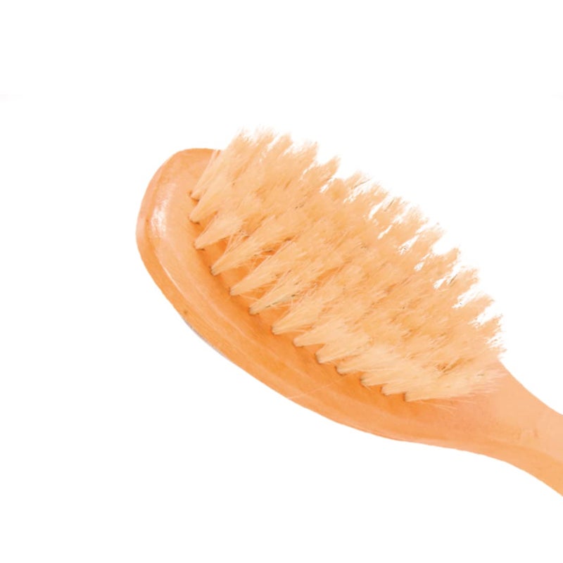 Trixie Dog Brush with Natural Bristles, Grooming Brush for Pets, Made with Wooden Handle for a Firm Grip, Helps Detangle Knots in the Coat, Distributes Natural Oils for a Shiny Coat - 18 x 5 cm - Image 3