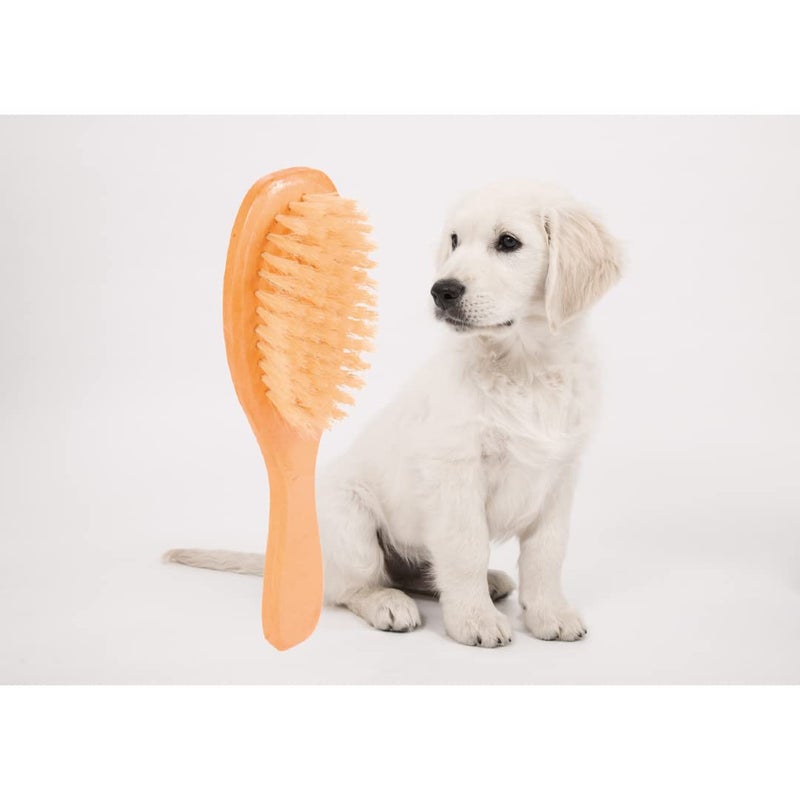 Trixie Dog Brush with Natural Bristles, Grooming Brush for Pets, Made with Wooden Handle for a Firm Grip, Helps Detangle Knots in the Coat, Distributes Natural Oils for a Shiny Coat - 18 x 5 cm - Image 4