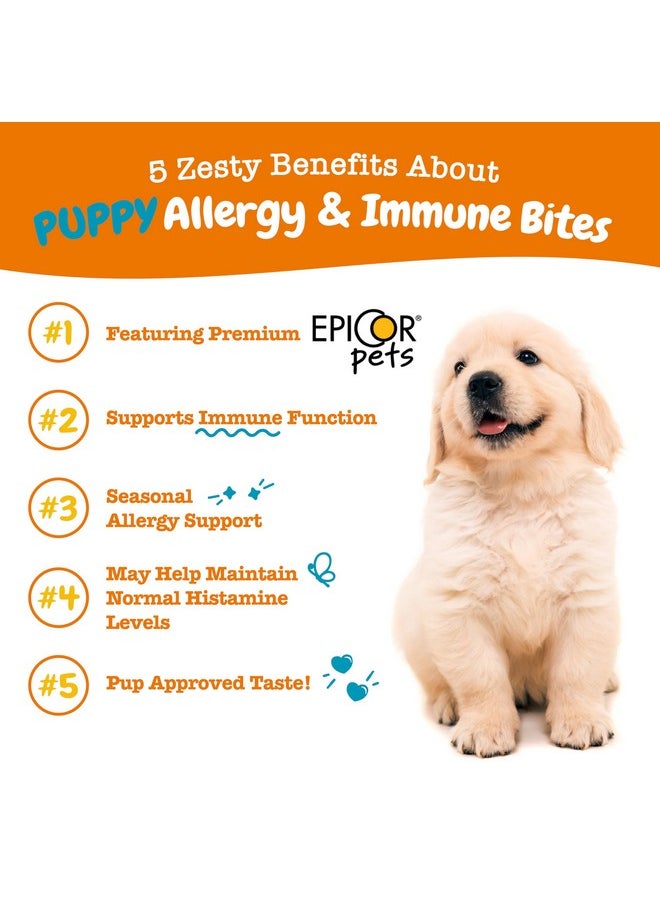 Zesty Paws Dog Allergy Relief  Anti Itch Supplement  Omega 3 Probiotics For Dogs  Digestive Health  Soft Chews For Skin & Seasonal Allergies  With Epicor Pets  Puppy  Lamb  90 Count  - Image 2