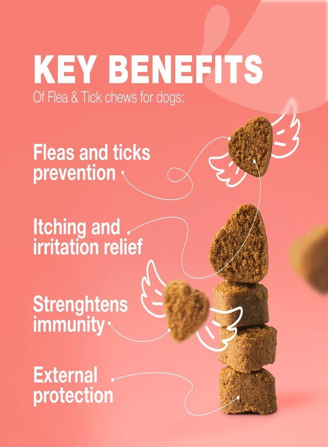 CHEWIA Dog Flea and Tick Treatment Chews - Flea and Tick Prevention for Dogs - Flea & Tick Chewables - Natural Dog Flea & Tick Control Soft Treats - Flea Chewables for Dogs - Immune Support Supplement - Image 3