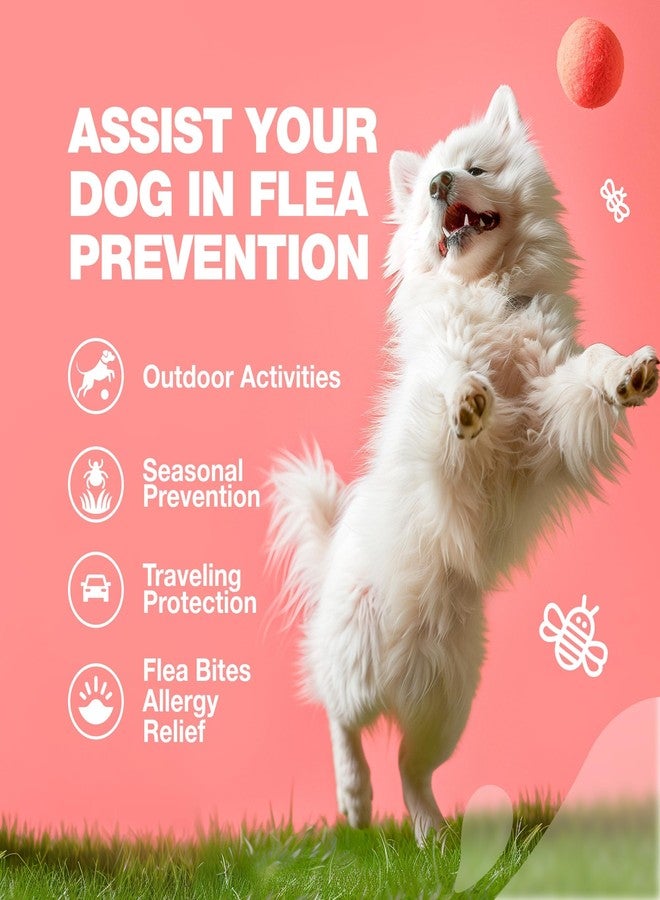 CHEWIA Dog Flea and Tick Treatment Chews - Flea and Tick Prevention for Dogs - Flea & Tick Chewables - Natural Dog Flea & Tick Control Soft Treats - Flea Chewables for Dogs - Immune Support Supplement - Image 4
