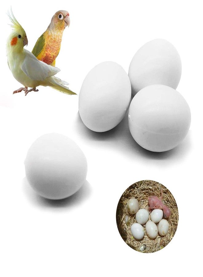 FOIBURELY 4 Pcs Solid Parrot Plastic Eggs Hatching Eggs Green Cheek, Lorikeet&Ringneck Dove, Quaker, Cockatiel. Trick The Birds to Stop Laying Eggs, Fake Eggs - Image 1