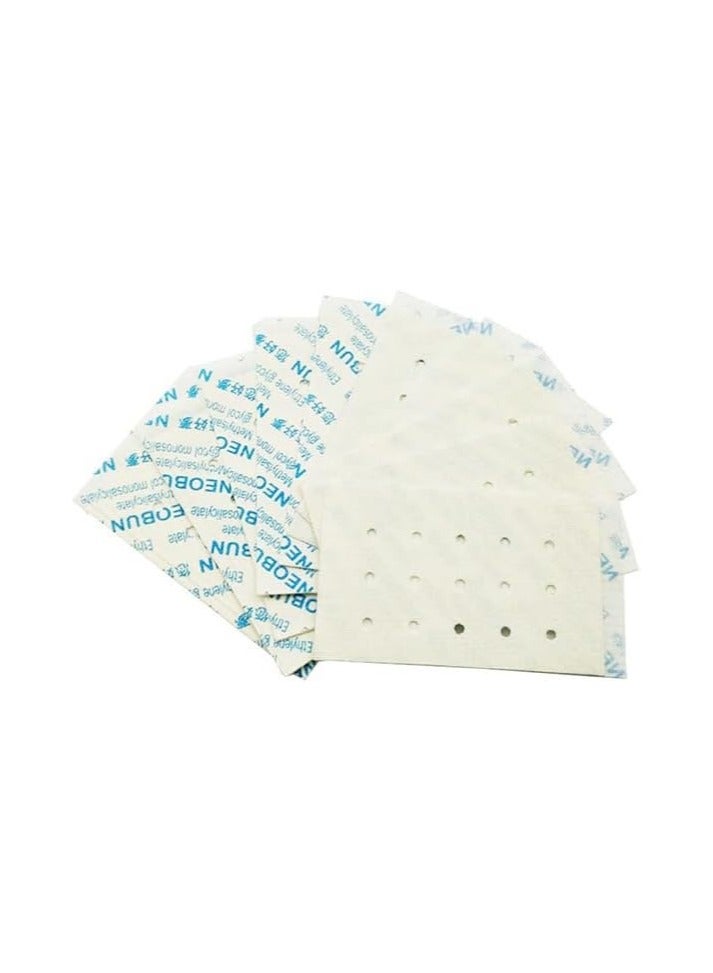 Neoblends Neobun Menthol Plaster Cool Relief Pain Muscular Muscle Ache Back Analgesic,1Box 20pcs - Image 3