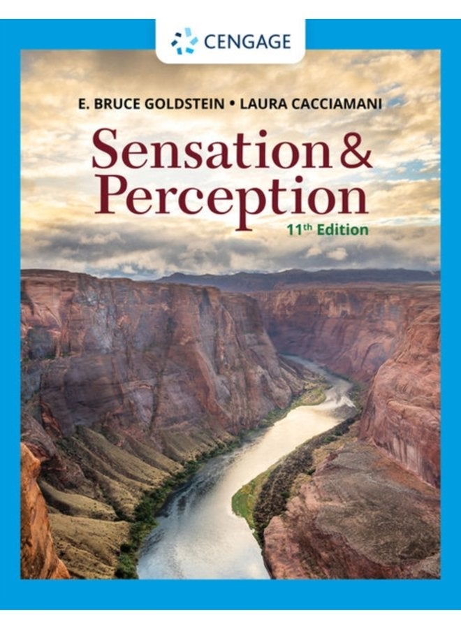 Sensation and Perception - Paperback