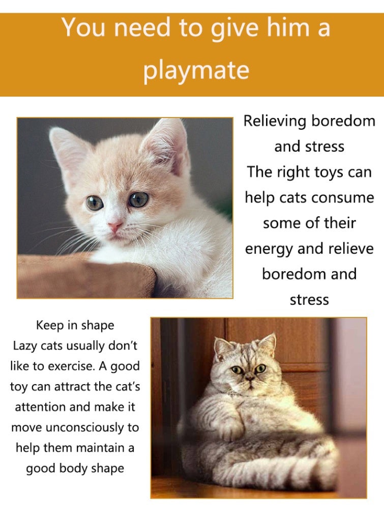 Cat Coil Springs, 4 Pieces Cat Creative Toys for Killing Time and Keeping Healthy Interactive Cat Toys, Sturdy Heavy Duty Plastic Springs Colorful Spring Cat Toys for Slapping, Biting, Hunting Kitten Toys - Image 3