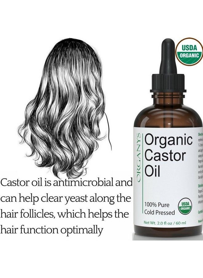 Organys - Organic Castor Oil 2oz For Longer Fuller Thicker Looking Hair Eyelashes & Eyebrows by Organys Enhances The Appearance Of Natural Lash & Brow Growth Serum Comes With Eyeliner & Mascara Brushes - Image 1