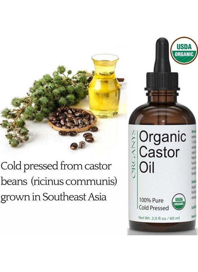 Organys - Organic Castor Oil 2oz For Longer Fuller Thicker Looking Hair Eyelashes & Eyebrows by Organys Enhances The Appearance Of Natural Lash & Brow Growth Serum Comes With Eyeliner & Mascara Brushes - Image 1