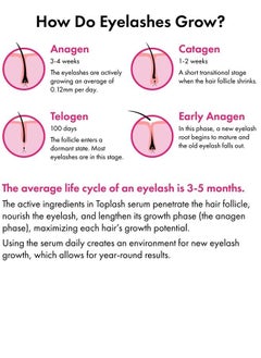 Toplash XL Lash and Brow Booster, Growth Serum with Eyelash and Eyebrow Enhancer, Promotes Stronger, Thicker, Healthier Lashes with Botanicals and Peptides  - Image 5