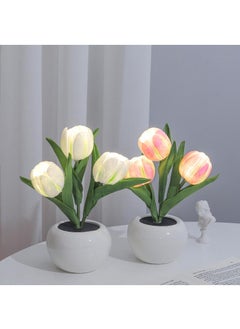 Flowers DIY Tulip Night Light Handmade Decoration Tulip Artificial Flower Craft Gift Simulation Flower Bedroom Table Lamp Kids Gift Eid Mubarak Ramadan Gifts Decoration Desk Ornament - pzsku/ZED953F766A01E016C32AZ/45/_/1699959238/03dd8e6b-da24-44a0-b930-313a3d15adb2