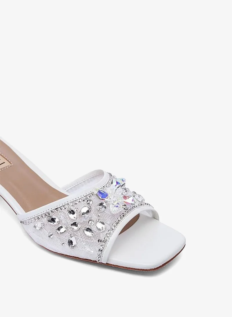 Nicoli  KIRK for Women | Best Price UAE