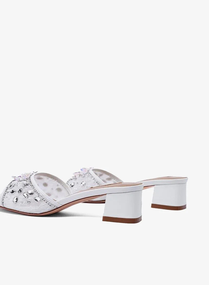 Nicoli  KIRK for Women | Best Price UAE