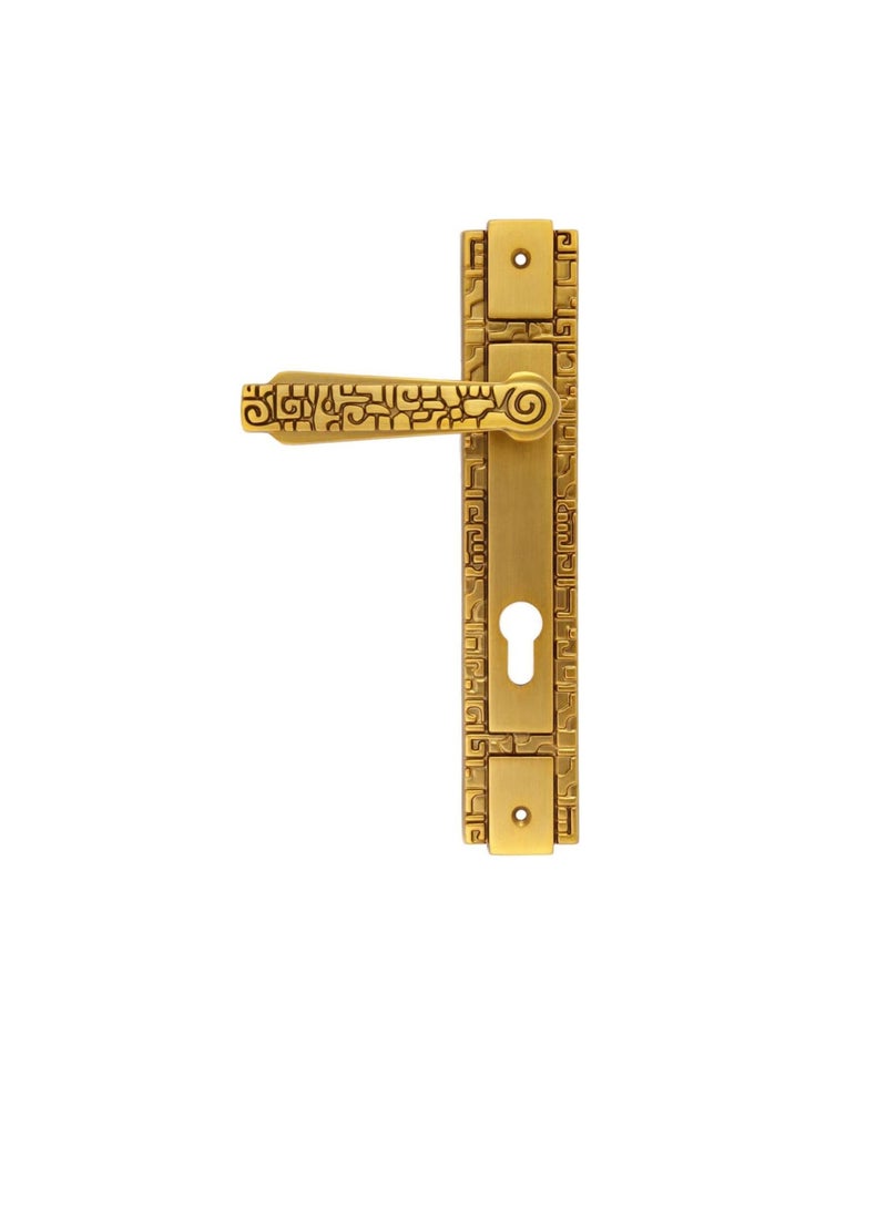 ROBUSTLINE Lever Handle Antique Brass with Lock - Image 2