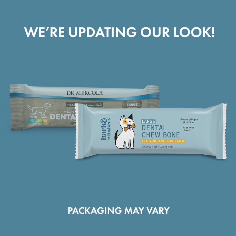 Dr. Mercola, Dental Chew Bones for Dogs, Large, 1 Box (12 Bones), Dog Dental Care That Helps Clean Teeth and Freshen Breath, Non GMO, Soy Free, Gluten Free - Image 2