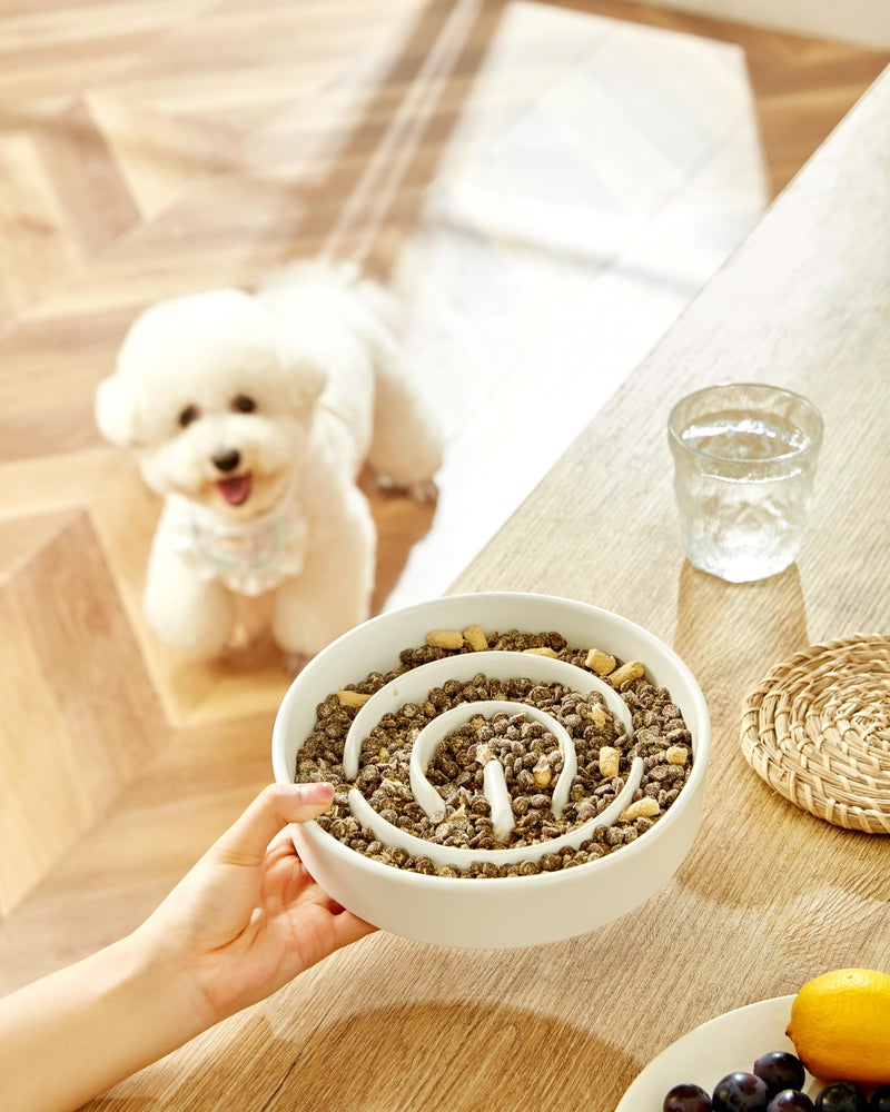 MOPANG Ceramic Slow Feeder Dog Bowls, 2.0 Cups Slow Feeder for Medium Dogs, Puzzle Maze Bowl to Slow Down Eating, 30oz, 8in, White - Image 2