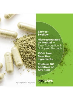 Andrew Lessman Theanine 200 mg - 60 Capsules - Promotes The Production of The Neurotransmitters Dopamine and Serotonin. Natural Calm & Relaxed Focus Without Drowsiness. Easy-to-Swallow Capsules.  - Image 3