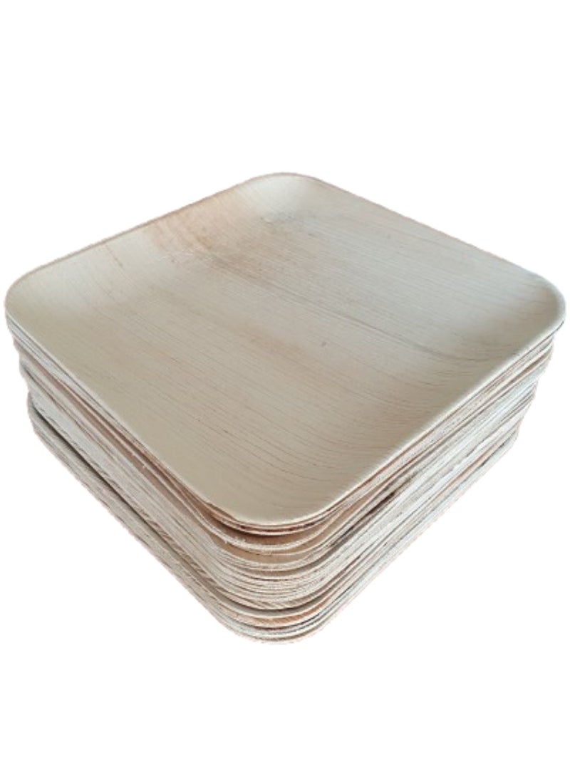 طبق Hinloon Eco Plate مقاس 10 بوصة للاستعمال مرة واحدة من أوراق النخيل المربعة 30 طبقًا في كل عبوة تتضمن 30 شوكة من خشب البتولا مقاس 6 بوصات و30 منديلًا صديقة للبيئة بنسبة 100% وقابلة للتحلل البيولوجي وقابلة للتحلل البيولوجي - Image 2