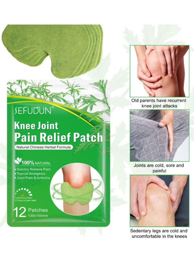 12 Pcs Knee Joint Pain Relief Patch