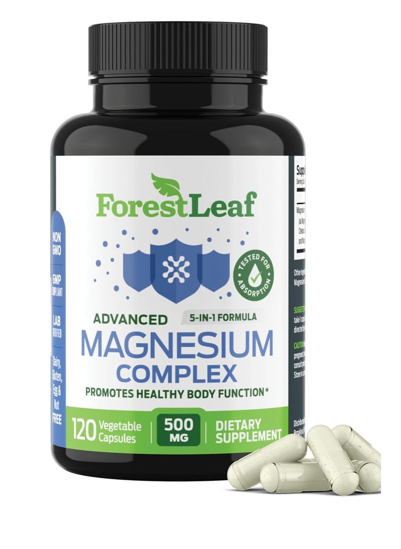 Advanced 5 in 1 Formula Magnesium Complex 500mg 120 Vegetable Capsules - pzsku/ZED9E4840BBC66D1B1D2BZ/45/1741682035/4760248f-e68e-4953-bc9c-24b570931ddc