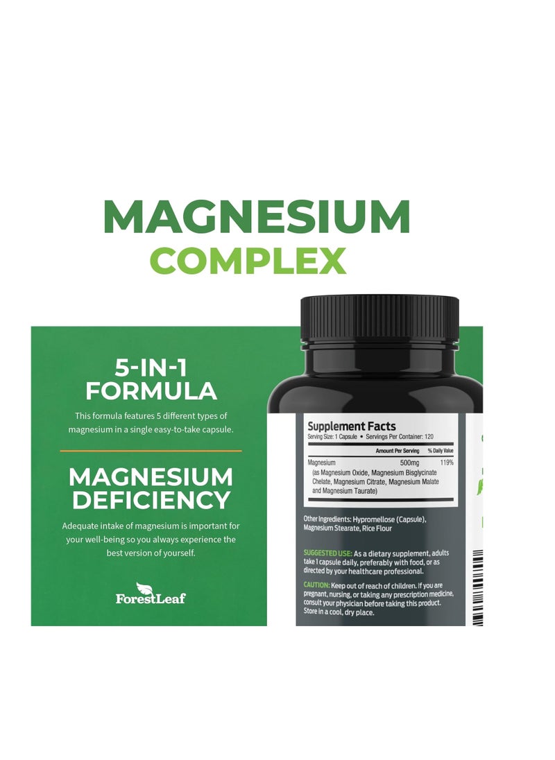 Advanced 5 in 1 Formula Magnesium Complex 500mg 120 Vegetable Capsules - pzsku/ZED9E4840BBC66D1B1D2BZ/45/1741682045/c43d4e76-4c7d-472b-b996-26a8eb9a90c7