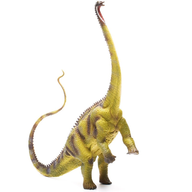 CollectA Diplodocus Dinosaur Toy Dinosaur Figure - Authentic Hand Painted & Paleontologist Approved Model , Green - Image 2