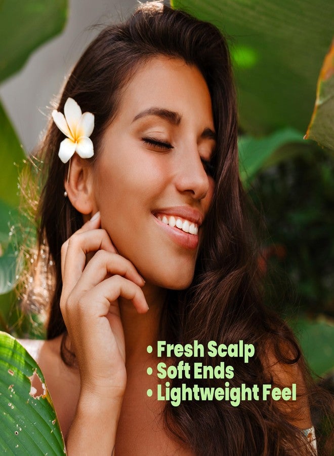 ANYELUZ Aloe Vera Shampoo and Conditioner Set, With Biotin, Provides Strength and Vitality to your Hair, Removes Excess Oil and Residues, for All Hair Types - Image 2