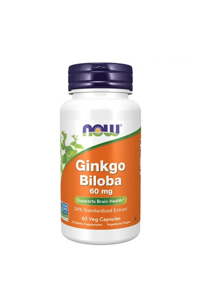 Now  Ginkgo Biloba 60 Mg 60 Veg Capsules