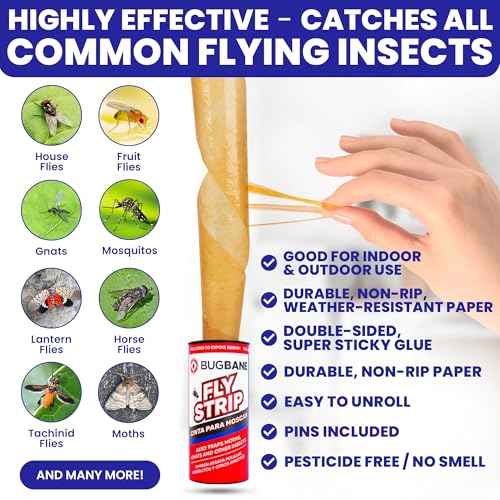BugBane Fly Strips Indoor Sticky Hanging 48pk with Pins. Non Toxic Outdoor Fly Trap Indoor for Home. Flies Tape Paper Trap Ribbon Roll for House Gnat Fruit and Housefly. Bug Catchers for Inside Home Flypaper - Image 2