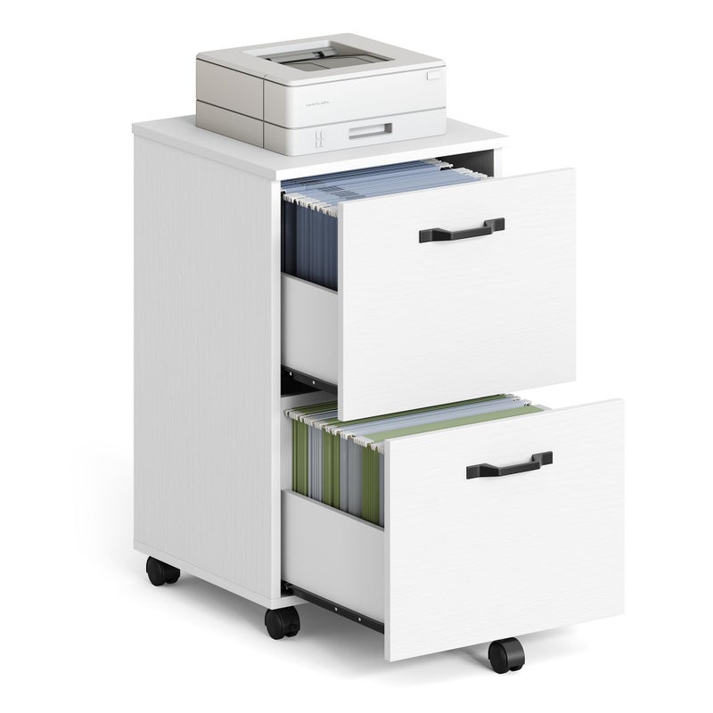 VASAGLE VASAGLE 2Drawer File Cabinet Small Rolling Filing Cabinet for Home Office Printer Stand for A4 LetterSize Documents 157 x 165 x 276 Inches Snow White UOFC040W46 