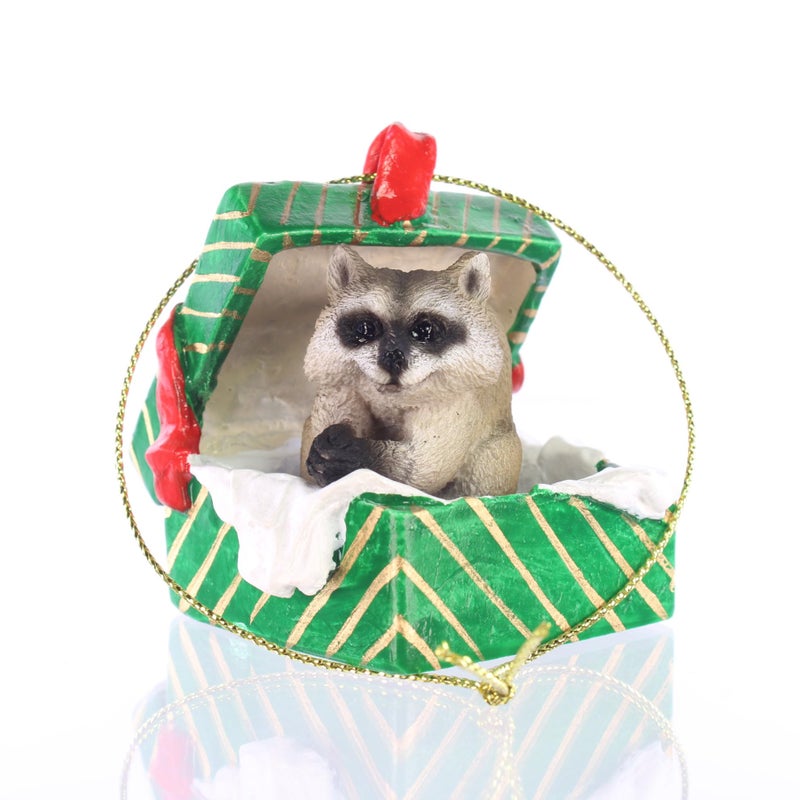 Conversation Concepts Raccoon Gift Box Christmas Ornament - Delightful! - Image 1