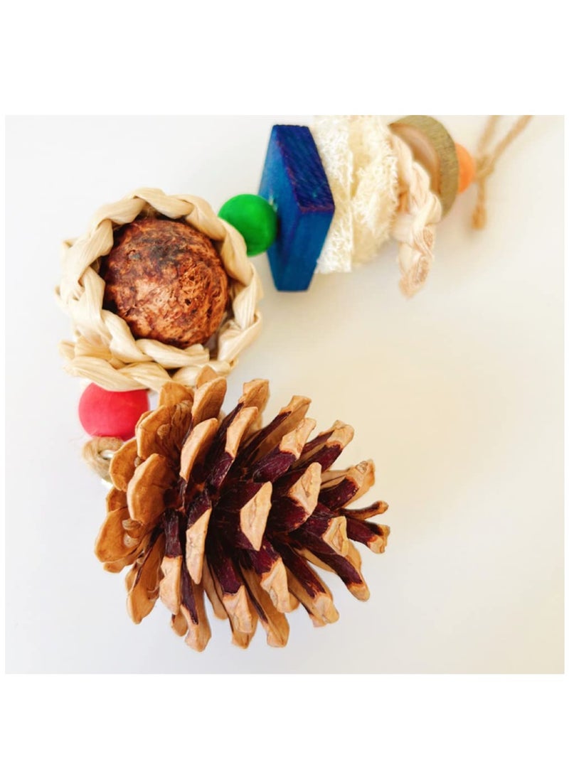 Excefore - Parrot Toys,  Bird Chewing Foraging Toys with Natural Pine Cones for Bird Cage, Hanging Bird Toys for Parakeets Cockatiel African Grey Small Parrots Lovebirds - Image 1