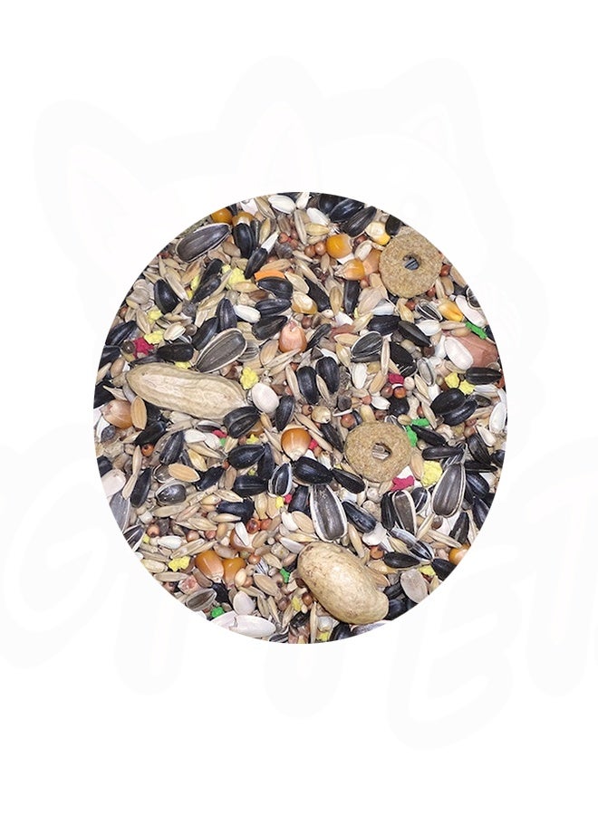FARMA Parrot Special Mix - 800G - Image 2