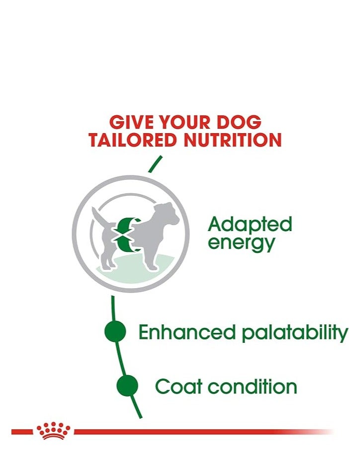 رويال كانين طعام جاف صحي الحجم للكلاب البالغة الصغيرة - 8 كجم - Image 5