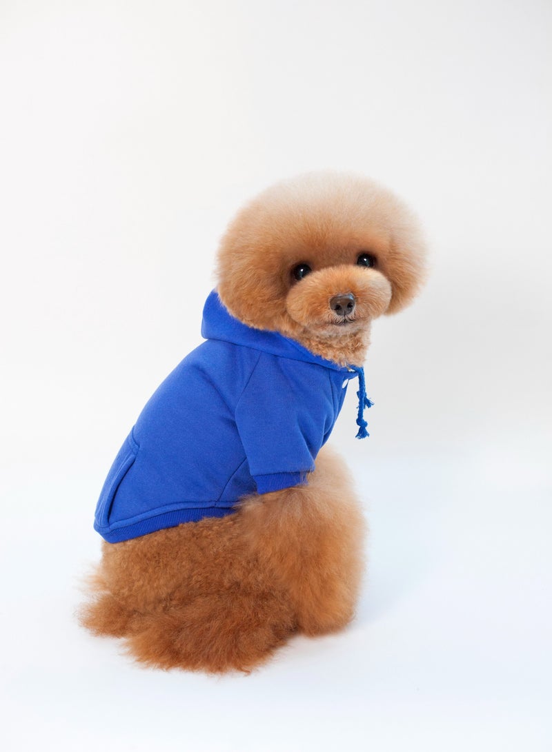 Loquat Pet dog hoodie with a hat Blue - Image 2