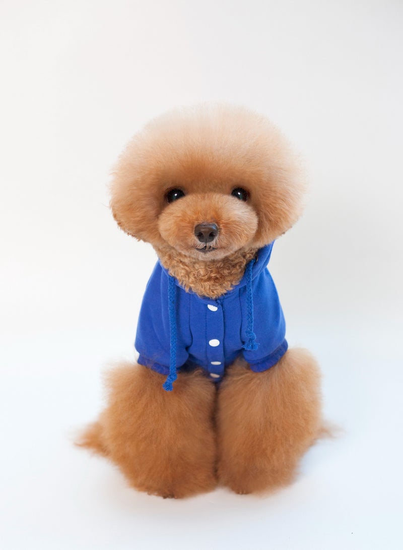 Loquat Pet dog hoodie with a hat Blue - Image 1