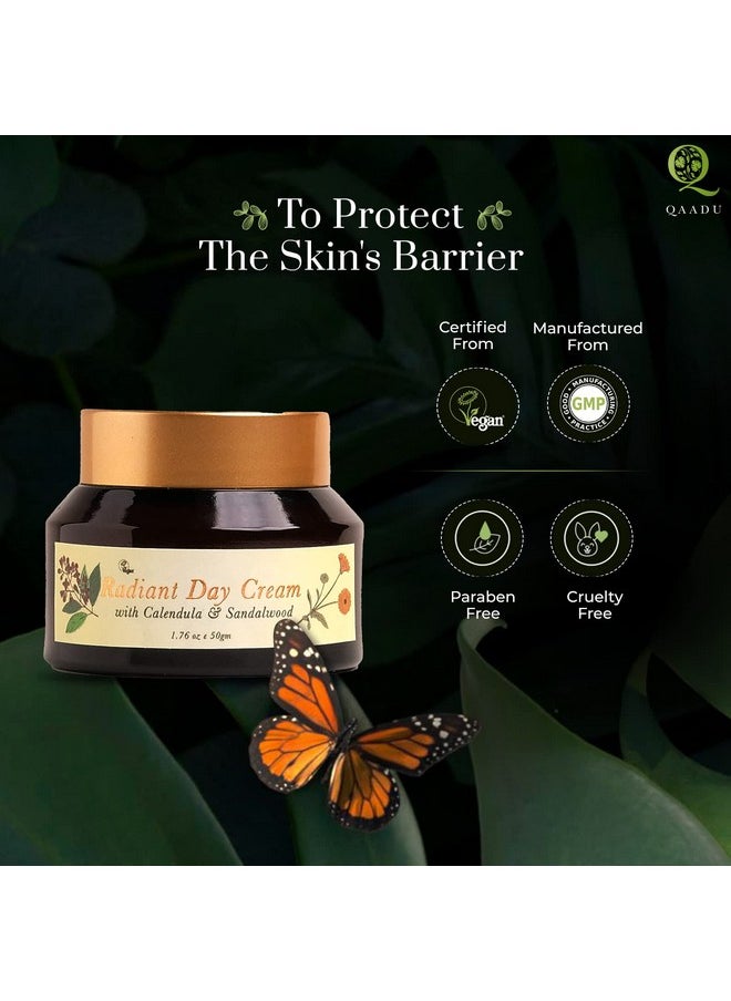 QAADU Radiant Day Cream | For Nourished, Healthy, Hydrated & Youthful Skin I Ideal For All Skin Types I Lightweight, With Calendula & Sandalwood Extracts | 50 Gm |  - Image 3