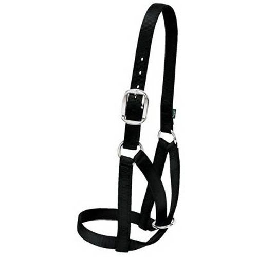 Weaver Livestock Barn Cow Buckle Cattle Halter, Adjustable, Modern Style Cow Calf Halter, Livestock Handling Equipment for Showing, Black - Image 1