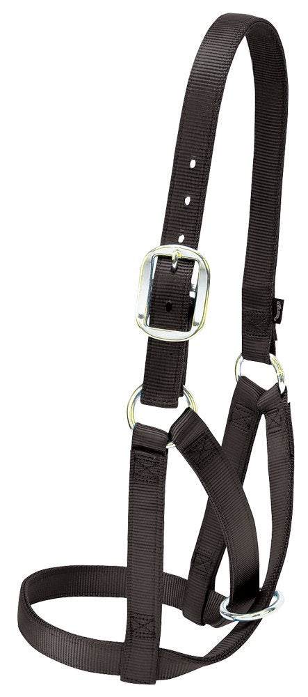 Weaver Livestock Barn Cow Buckle Cattle Halter, Adjustable, Modern Style Cow Calf Halter, Livestock Handling Equipment for Showing, Black - Image 4