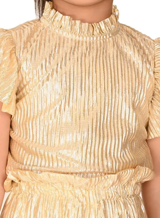 LILPICKS Solid Silver Shiny Sleeveless Top Palazzo Set