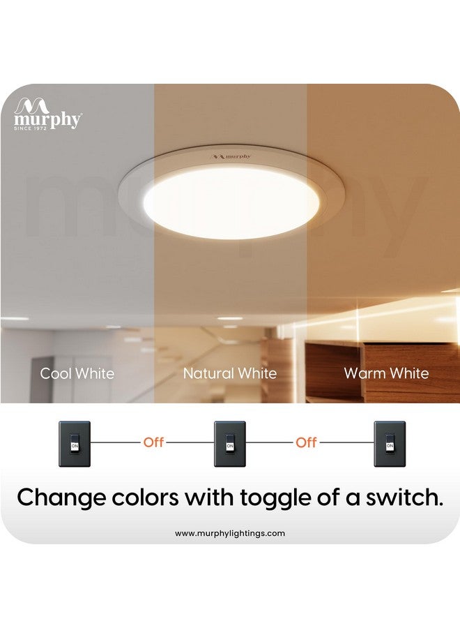 Murphy 15W Vega 3-In-1 Round Led Panel Ceiling Color Changing Light (Cool White/Warm White/Natural White, Pack Of 15)(Others) - Image 2