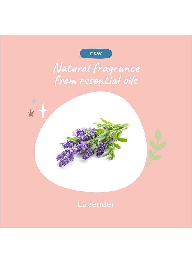 kin+kind Lavender Oatmeal Pet Shampoo + Conditioner for Itchy Dogs and Cats - Oatmeal Shampoo for Dogs and Cats, Conditioner for Dogs and Cats - Pet Natural Shampoo Plus Conditioner (Bundle) - Image 4