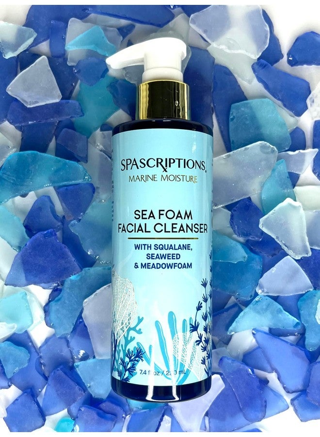 سباسكريبشنز منظف الوجه من رغوة البحر للرطوبة البحرية، منظف الوجه الرغوي المرطب، غسول الوجه اليومي المرطب بالسكوالين والأعشاب البحرية ورغوة المروج، 7.4 أونصة - Image 3