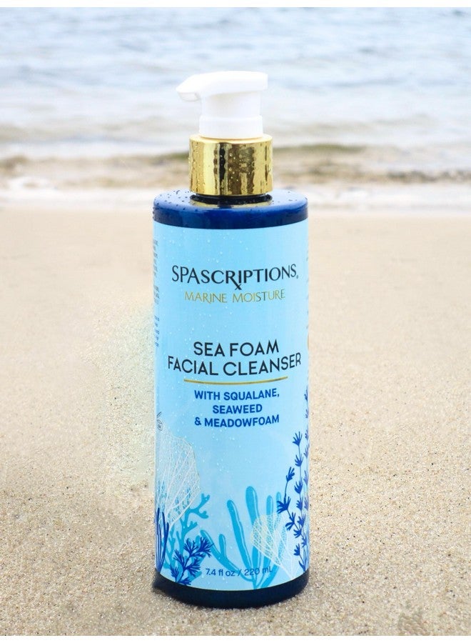 سباسكريبشنز منظف الوجه من رغوة البحر للرطوبة البحرية، منظف الوجه الرغوي المرطب، غسول الوجه اليومي المرطب بالسكوالين والأعشاب البحرية ورغوة المروج، 7.4 أونصة - Image 4
