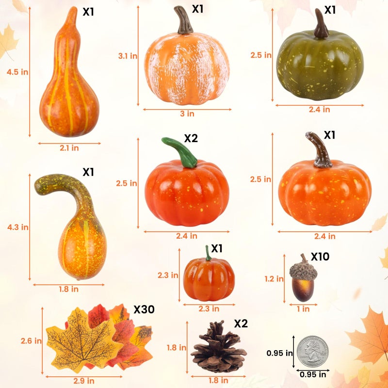 DomeStar دوم ستار (قرع مختلط) - قرع صناعي صغير وهدايا عيد الهالوين وأوراق القيقب وأقماع الصنوبر وبلوط - Image 2