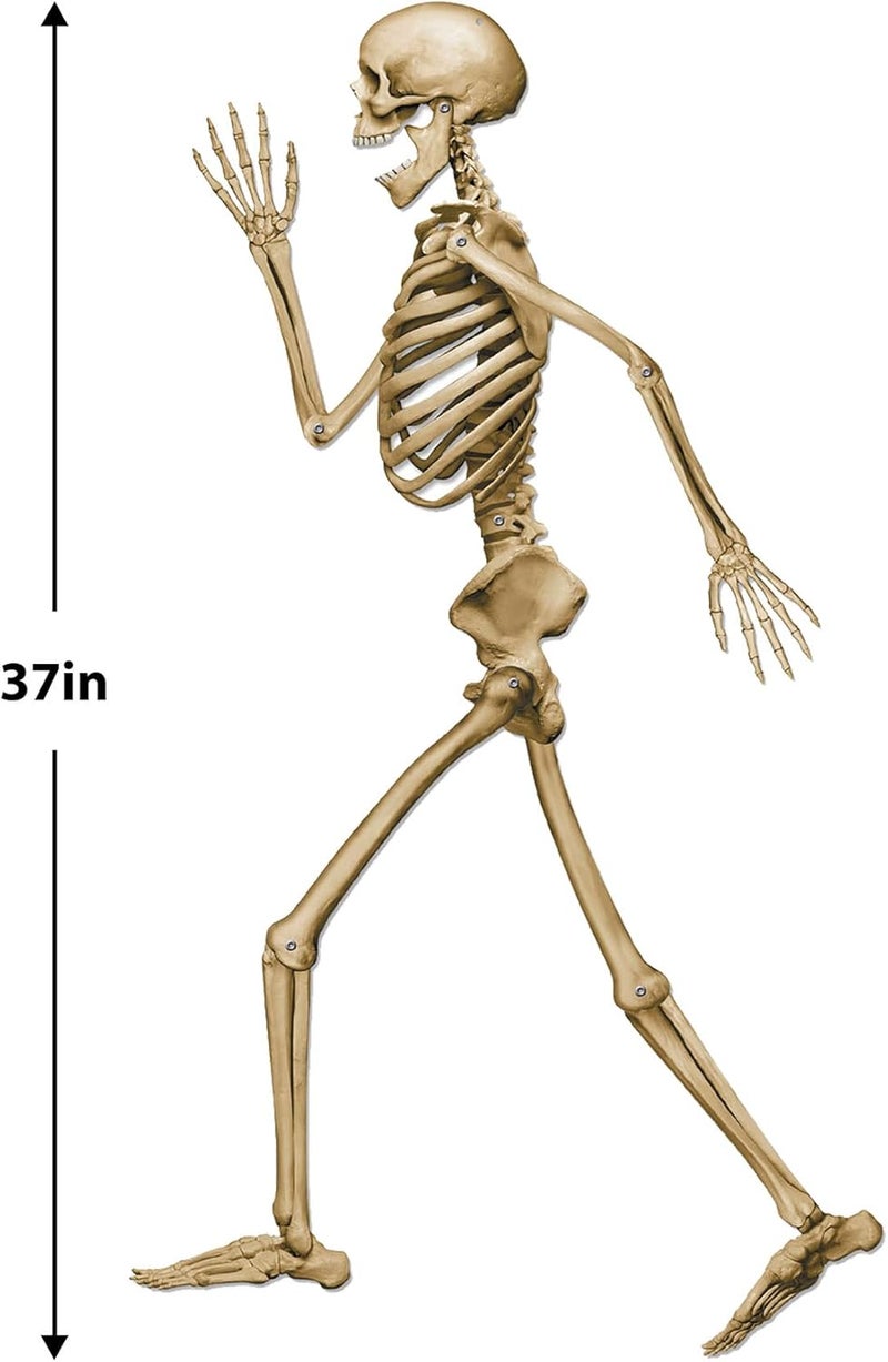 Beistle Profile Pete Jointed Skeleton Halloween Decoration - 37" Off White/Black - Image 3