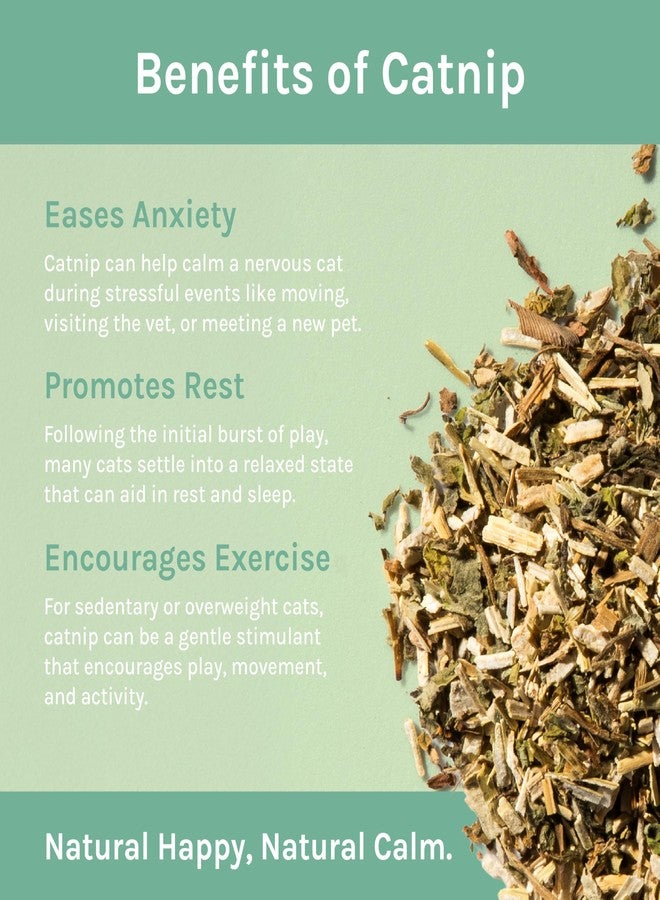 Kitty City Cat Premium Natural Catnip Collection, Catnip Tin - Image 2
