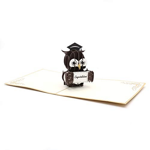 Liif Graduation Owl 2024 3D Pop Up Graduation Card, Class of 2024 - Image 2