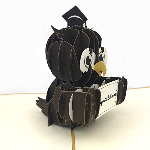 Liif Graduation Owl 2024 3D Pop Up Graduation Card, Class of 2024 - Image 5