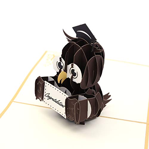 Liif Graduation Owl 2024 3D Pop Up Graduation Card, Class of 2024 - Image 4
